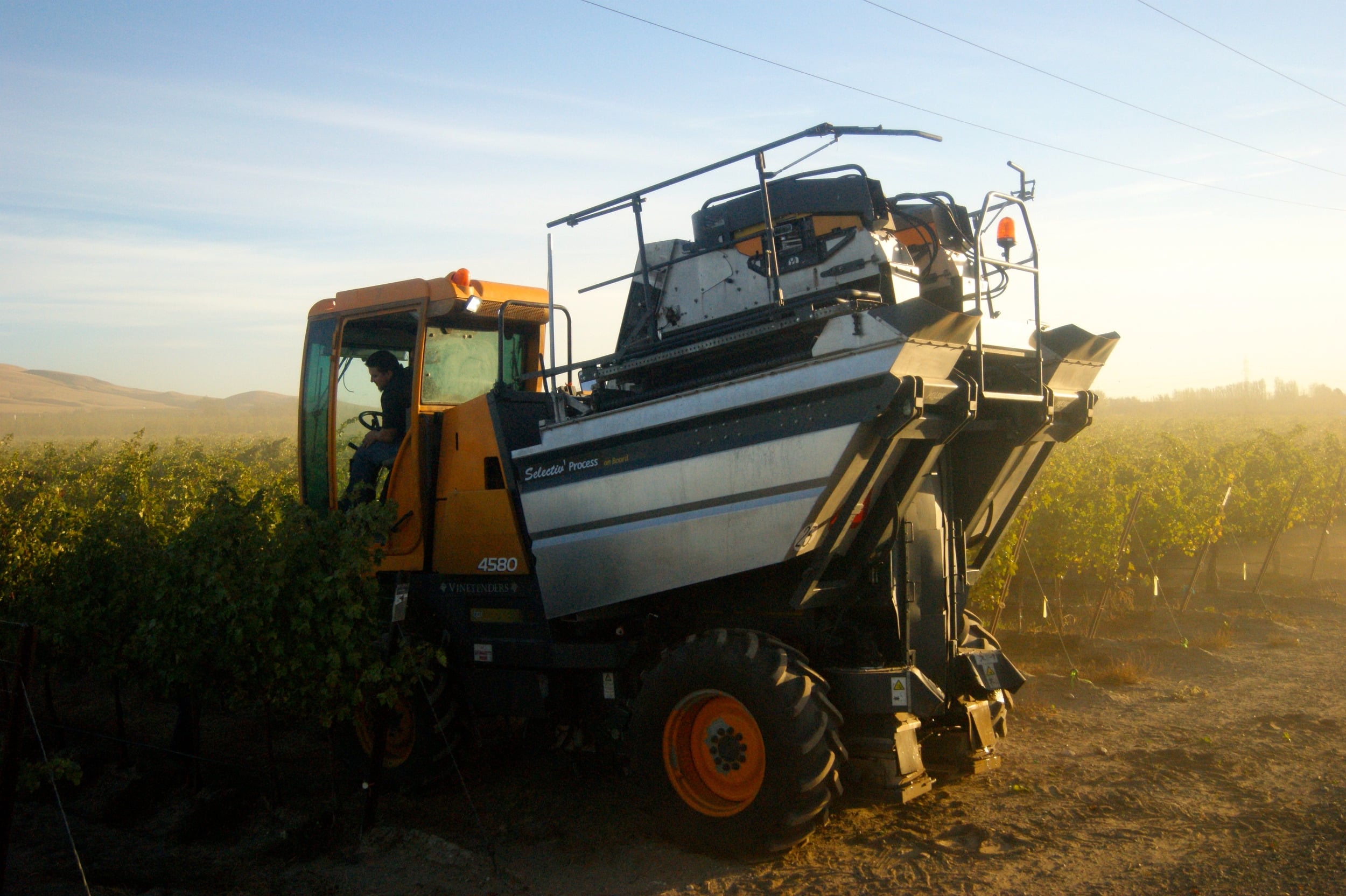 A Vine Tech harvester backlit at sunrise