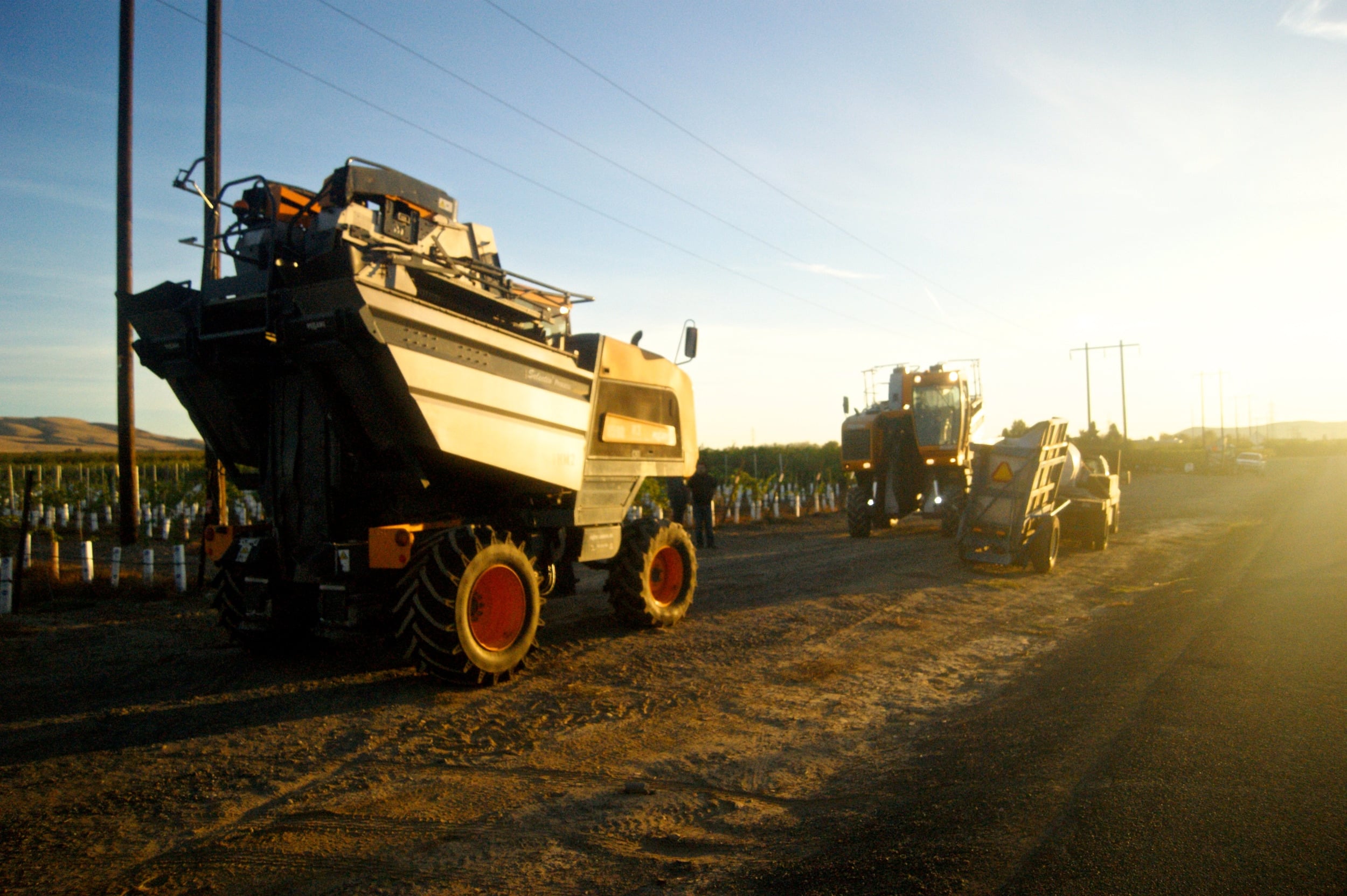 Harvesters and trucks moving between blocks at sunrise