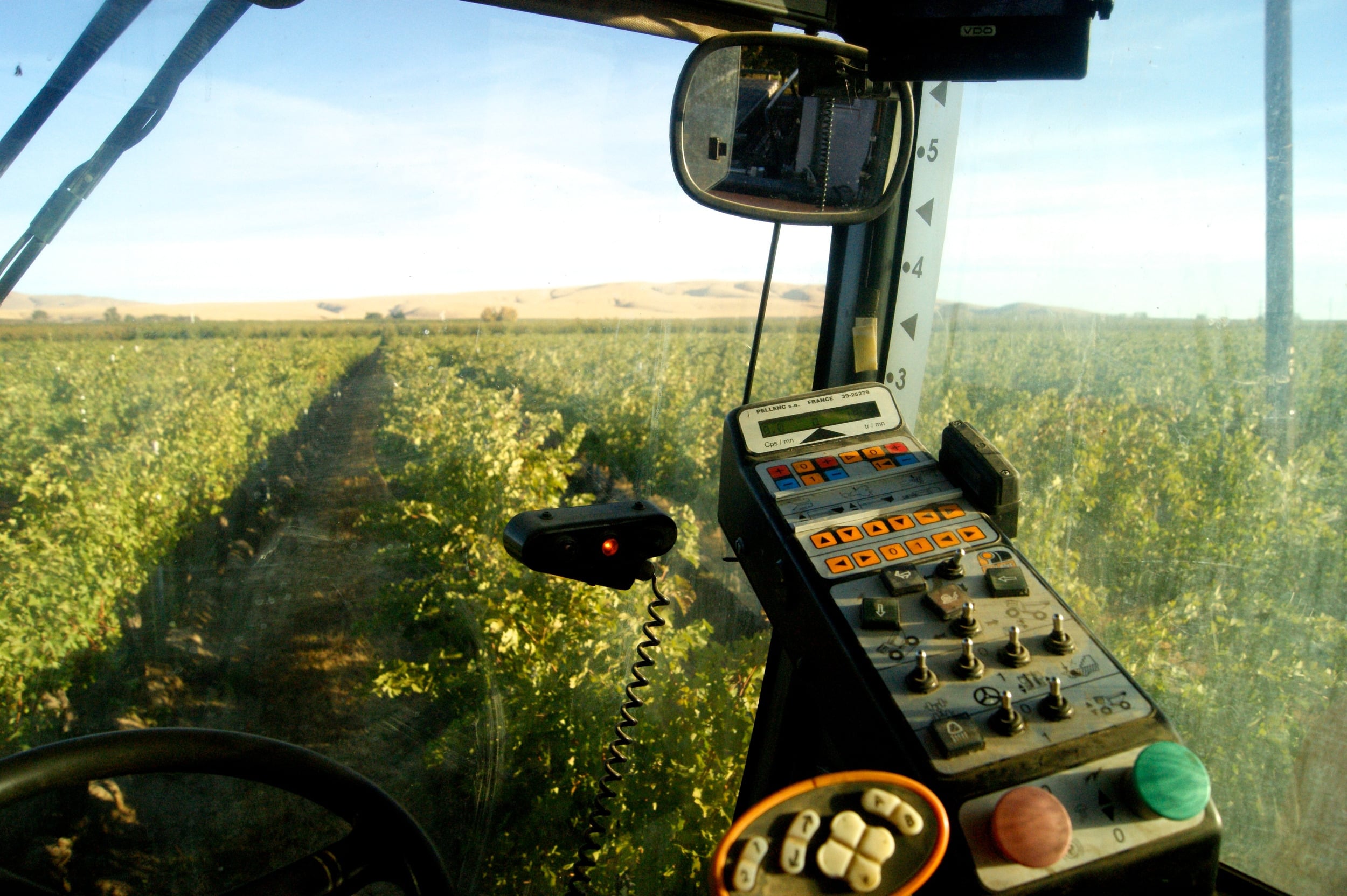 The view from a harvester cab down the row